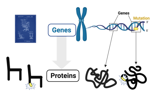 Genes - Chair